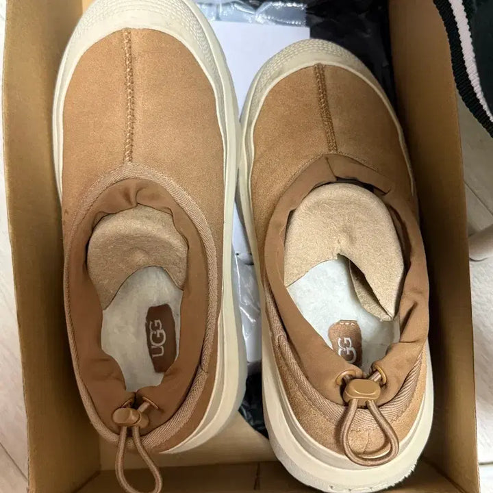 [BUNJANG] UGG Tasman Hybrid Chestnut Boots US7 / UGG 어그 타스만 하이브리드 체스트넛 255