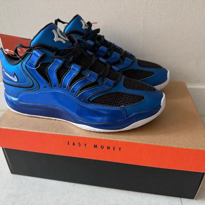 [BUNJANG] Nike KD18 Basketball Shoes / 나이키 KD18새제품