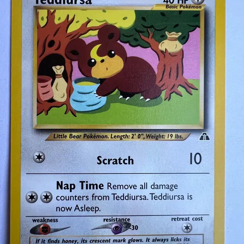 [BUNJANG] Pokemon Early North American English Version Teddiursa Card / (희귀 영문판) 포켓몬, 포켓몬스터 2001년 초기 북미 깜지곰 카드