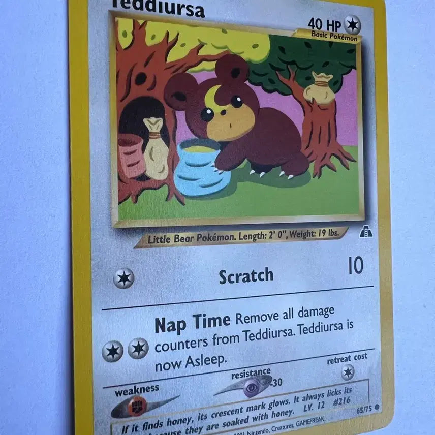 [BUNJANG] Pokemon Early North American English Version Teddiursa Card / (희귀 영문판) 포켓몬, 포켓몬스터 2001년 초기 북미 깜지곰 카드