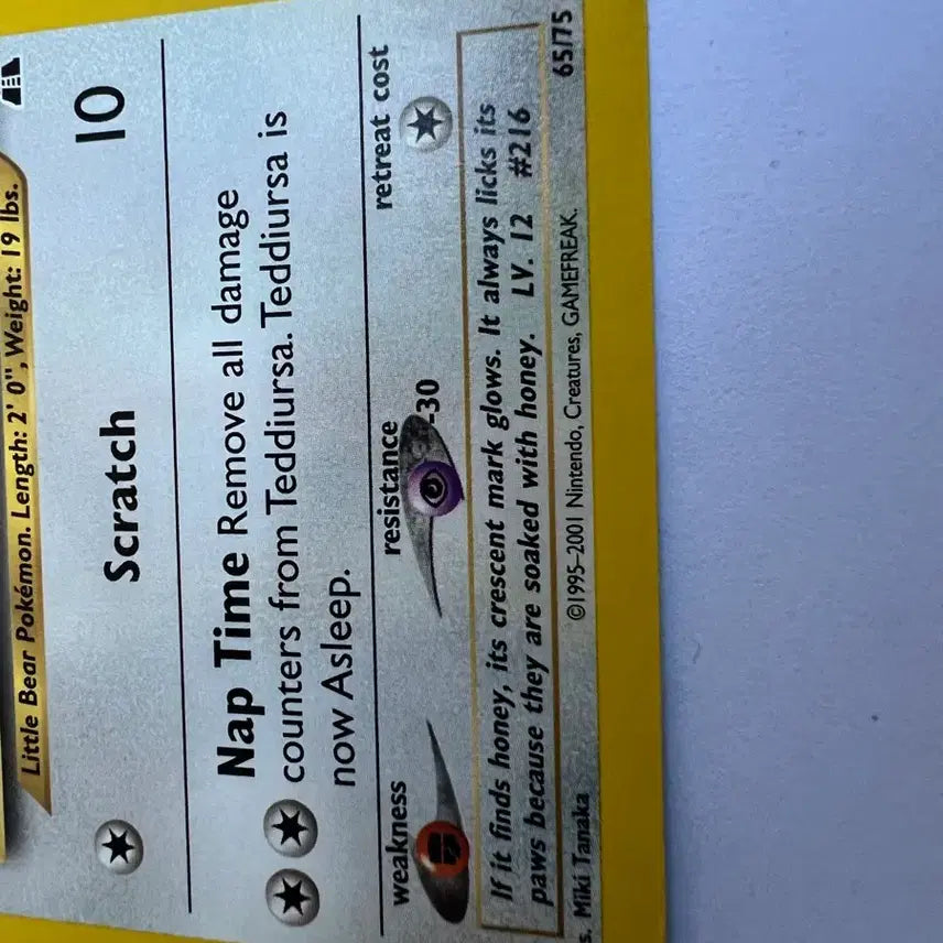 [BUNJANG] Pokemon Early North American English Version Teddiursa Card / (희귀 영문판) 포켓몬, 포켓몬스터 2001년 초기 북미 깜지곰 카드