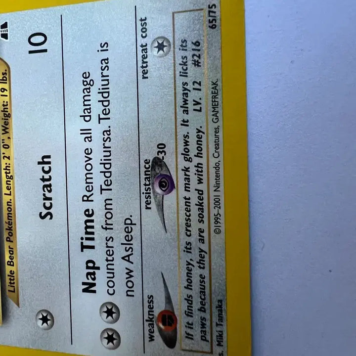 [BUNJANG] Pokemon Early North American English Version Teddiursa Card / (희귀 영문판) 포켓몬, 포켓몬스터 2001년 초기 북미 깜지곰 카드