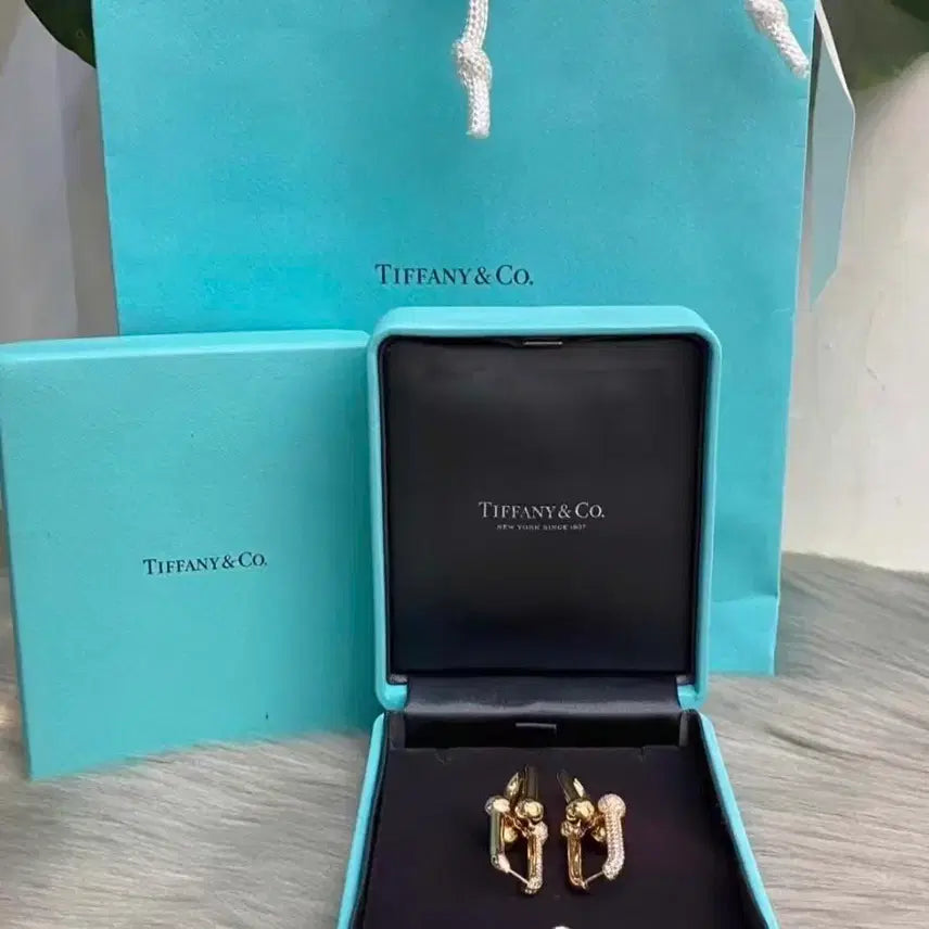 [BUNJANG] Tiffany &amp; Co. Gold Earrings Full Set / 티파니앤코 골드 귀걸이 풀세트
