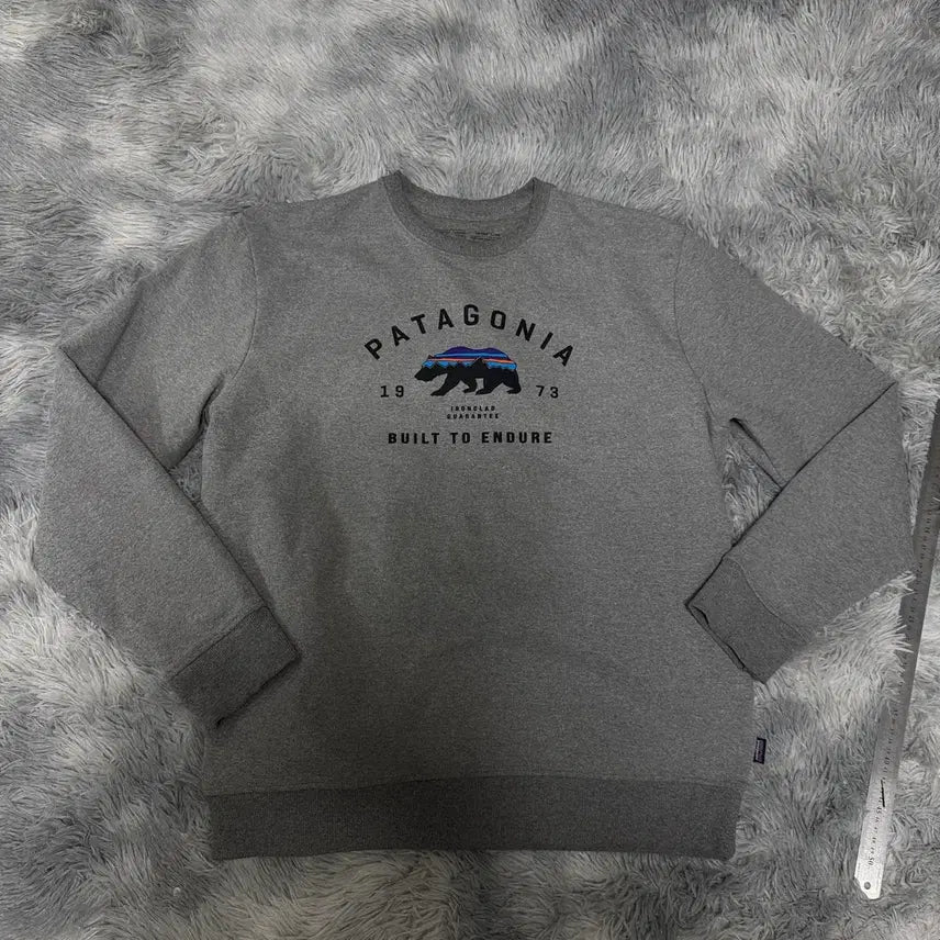 [BUNJANG] Patagonia Sweatshirt Large / 파타고니아 맨투맨 L사이즈