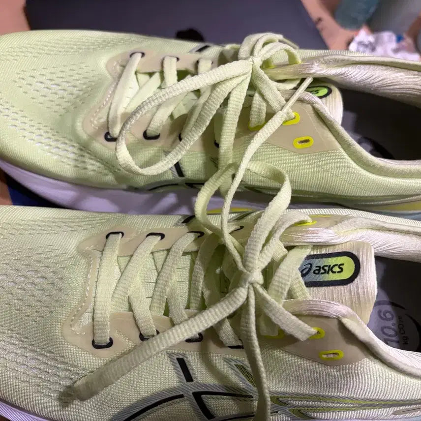 [BUNJANG] ASICS Gel-Kayano 31 Cool Matcha Celadon / [280] 아식스 젤카야노31 쿨 마차 셀라돈