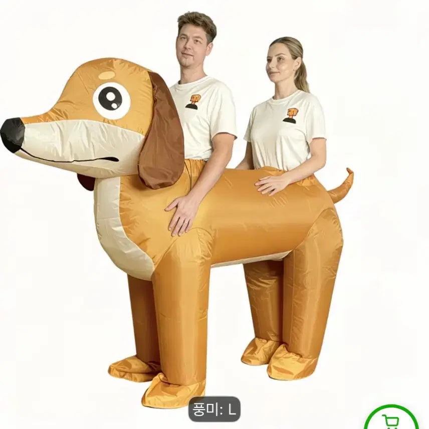 [BUNJANG] Graduation Photo Dog Air Suit / 졸업사진 강아지 에어슈트