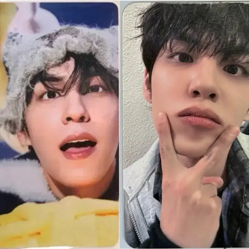 [BUNJANG] Day6 Wonpil Bundle Set Photocard / 데이식스 원필 포카 일괄