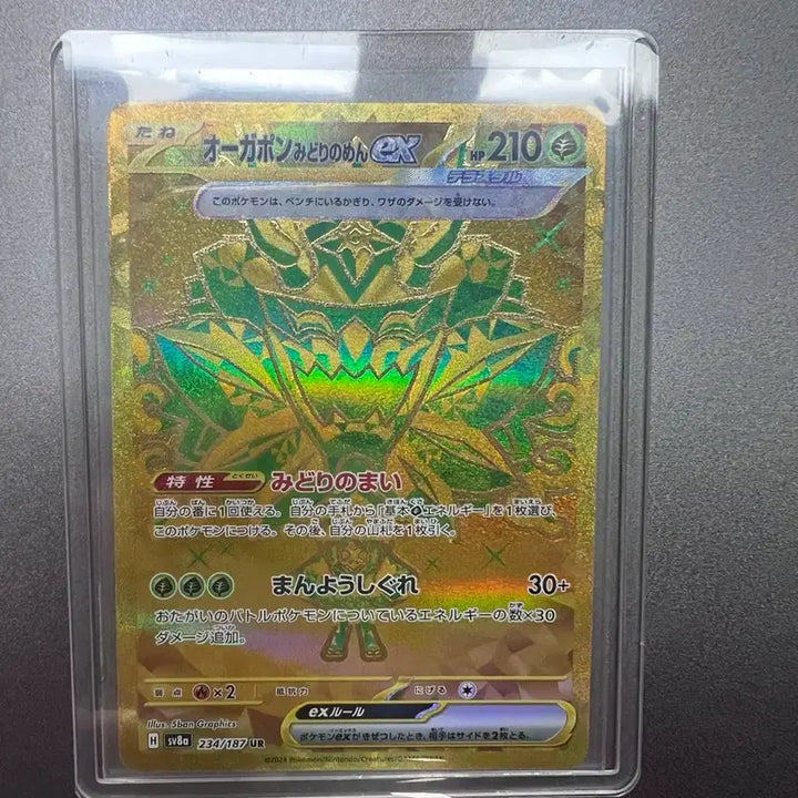 [BUNJANG] Pokemon Great Tusk Card / 일판 포켓몬 오거폰 위대한 엄니?