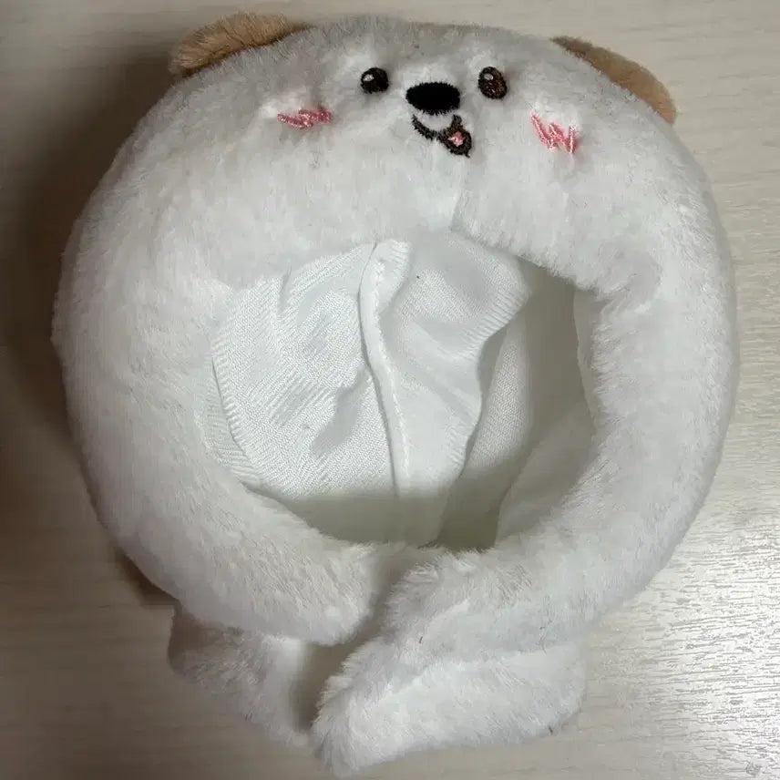 [BUNJANG] RIIZE Anton Mengryongie Cape / 라이즈 앤톤 멍룡이 케이프
