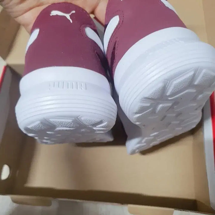 [BUNJANG] Puma Burgundy Softfoam+ Sneakers / 푸마 운동화 버건디 새상품