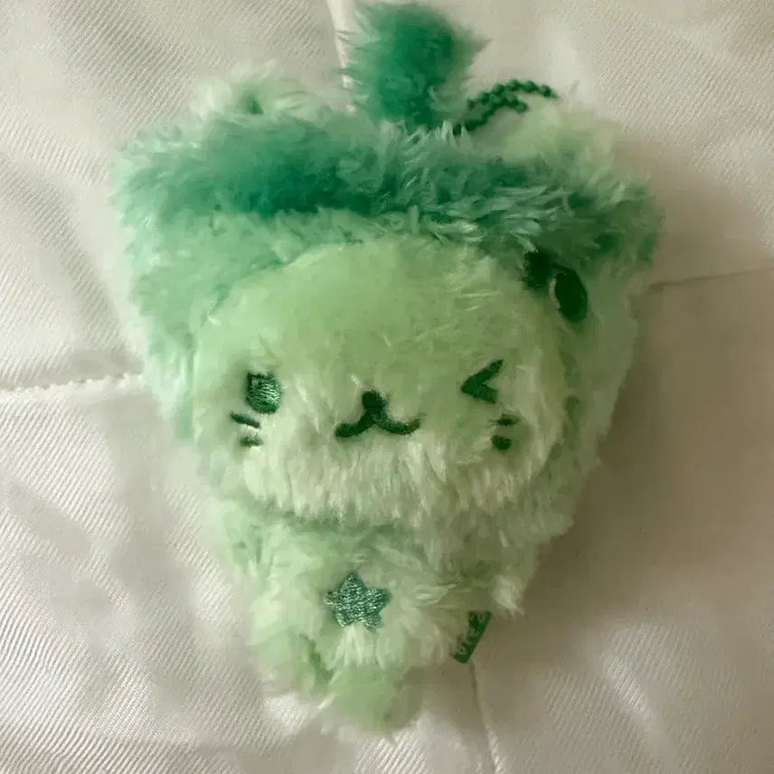 [BUNJANG] Green Bubble Cat / 그린 버블냥