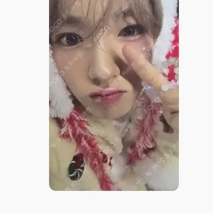 [BUNJANG] NCT WISH Bundle Set Photocard / 엔시티위시 포카 일괄