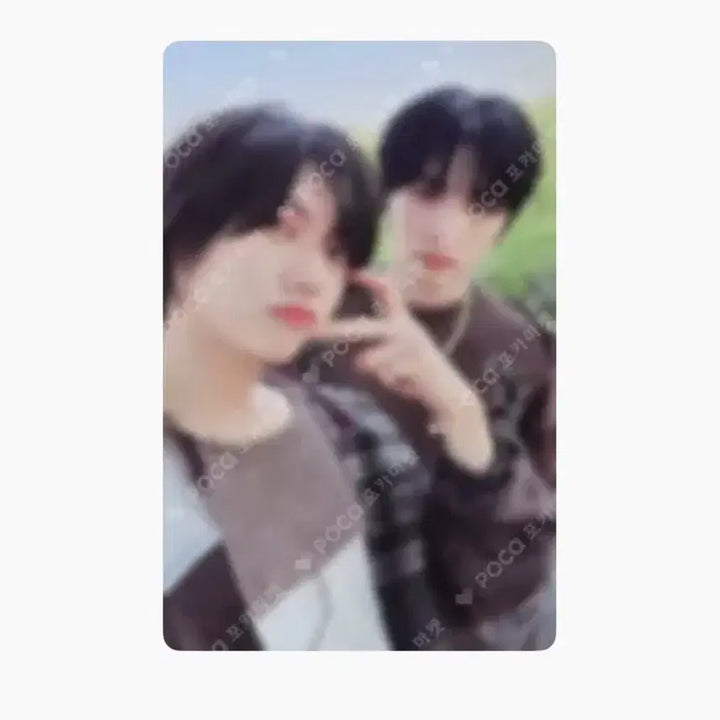 [BUNJANG] BOYNEXTDOOR Photocard / 보넥도 포카 판매