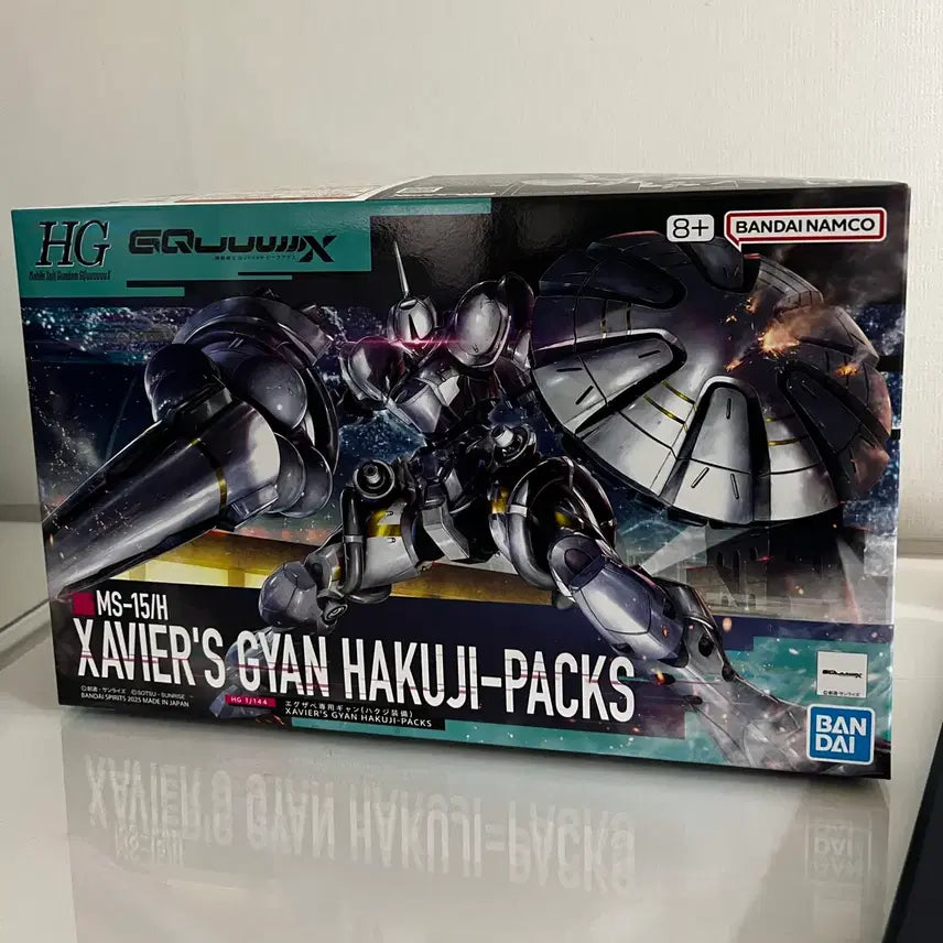 [BUNJANG] Bandai HG X&