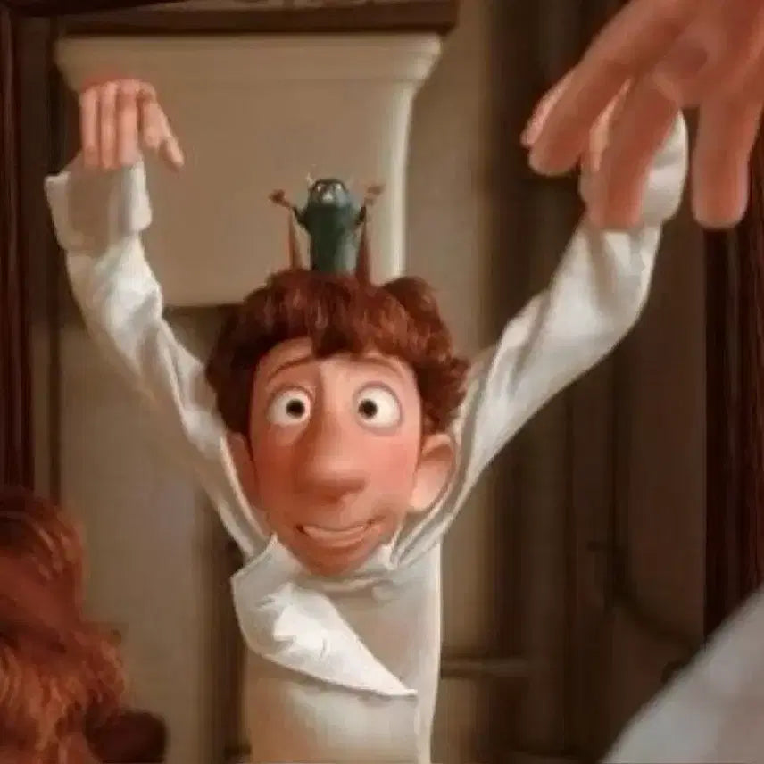[BUNJANG] Ratatouille Chef Costume Rental / 5월 12일 대여) 라따뚜이 졸업사진 대여 / 요리사 졸업사진 대여