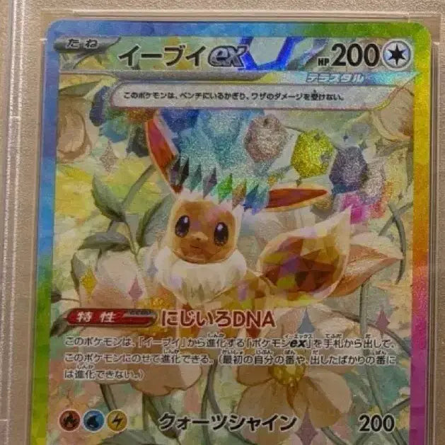 [BUNJANG] Eevee EX SAR 1st Edition PSA 10 Graded Card / 포켓몬카드 이브이ex sar일판 psa10