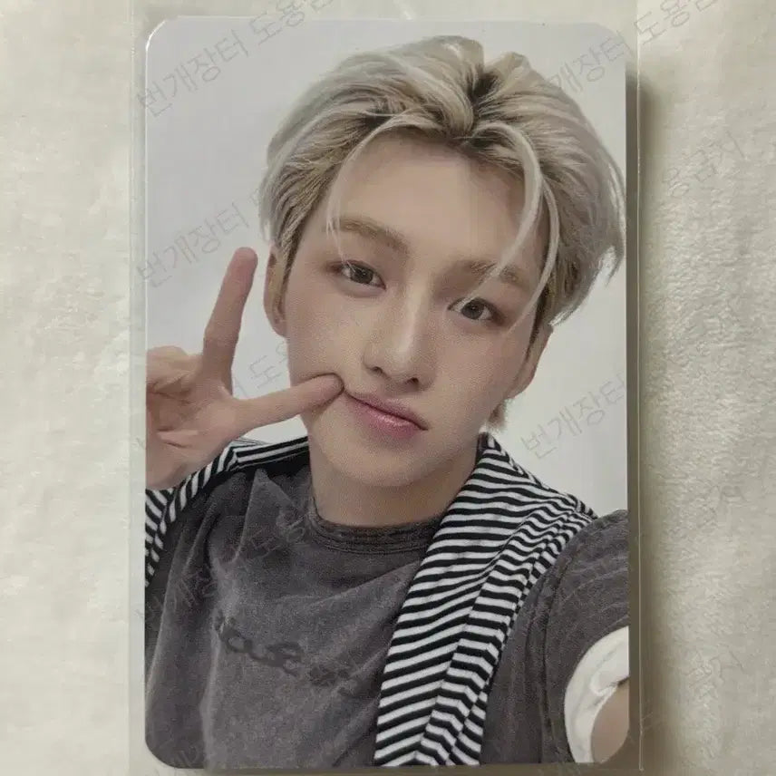 [BUNJANG] TWS Jihoon NO TRAGEDY KREAM POB Photocard / NO TRAGEDY 투어스 지훈 크림 미공포 특전 포카