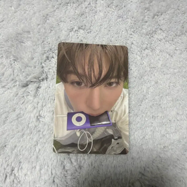 [BUNJANG] NCT WISH Sion Photocard Bundle Set / nct wish 시온 포카 세트