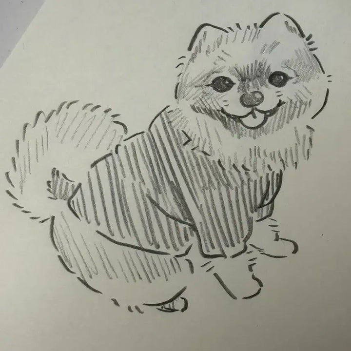 [BUNJANG] Custom Pet and Character Digital Art Commission / 커미션                 반려동물/자캐 등등 그림 그려드려요