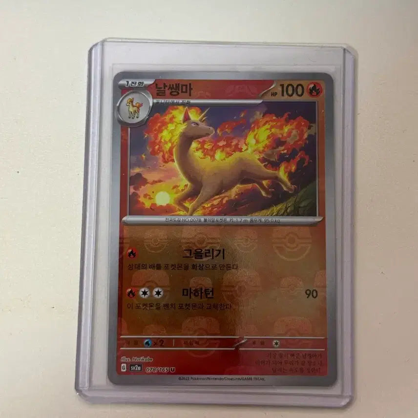 [BUNJANG] Rapidash Master Ball 151 (sv2a) / 날쌩마 마스터볼 151 (sv2a)