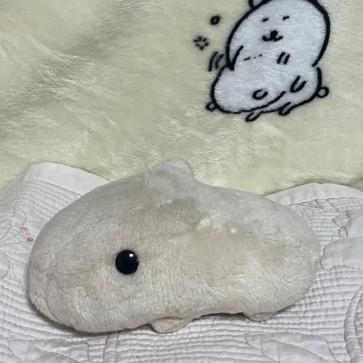 [BUNJANG] Kapibarasan Plush / 카피라바상 인현