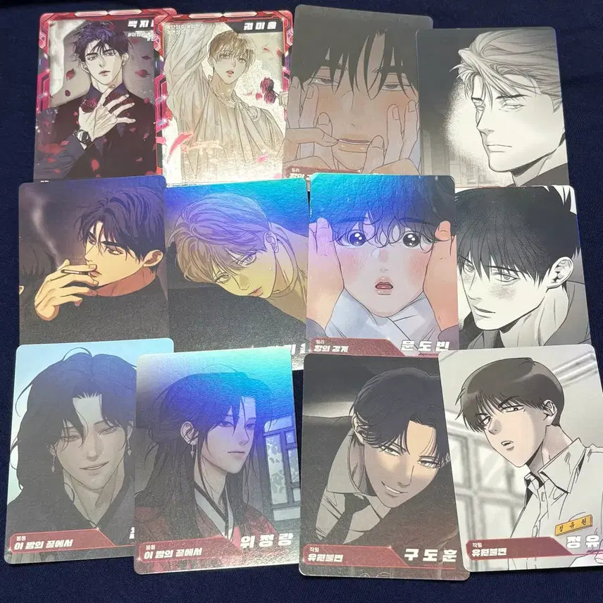 [BUNJANG] AR Trading Card Set / 레진공 레진수 ar 트레이딩 카드 애욕 유원불변 향경 스페셜 일반 양도