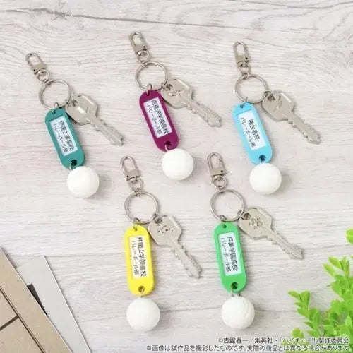 [BUNJANG] Haikyuu!! Shiratorizawa &amp; Nohebi Dorm Keychains Bundle Set / 하이큐 부실키링 시라토리자와 노헤비 일괄