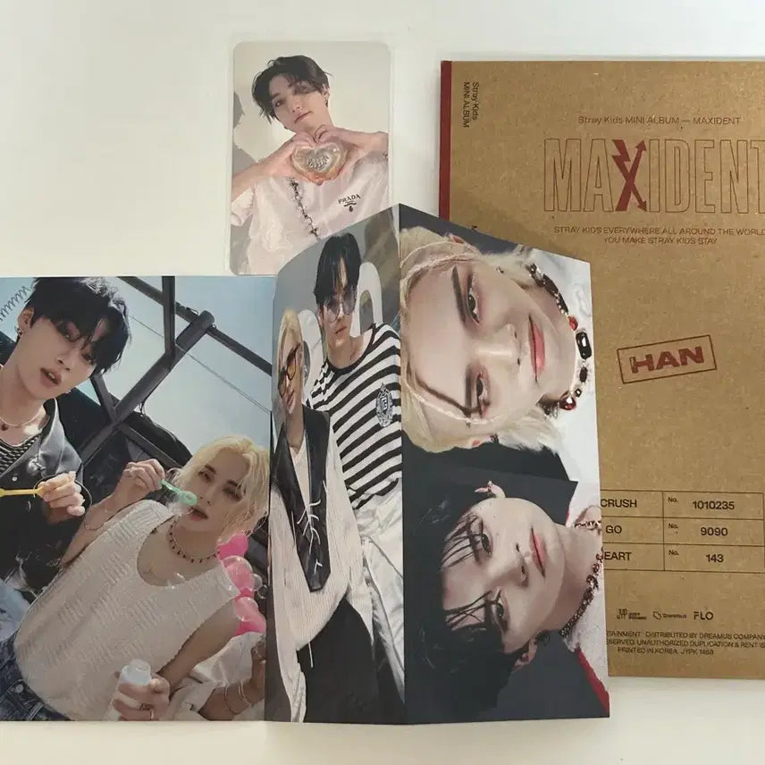 [BUNJANG] Oddinary Mini Book Han / 멕시던트 미니북 한