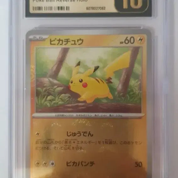 [BUNJANG] Pikachu CGC 10 Pristine Japanese Pokemon Card / 일판 몬스터볼 미러 피카츄 cgc10 프리스틴 포켓몬 카드