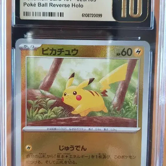 [BUNJANG] Pikachu CGC 10 Pristine Japanese Pokemon Card / 일판 몬스터볼 미러 피카츄 cgc10 프리스틴 포켓몬 카드