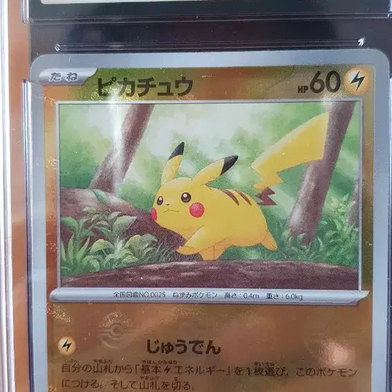 [BUNJANG] Pikachu CGC 10 Pristine Japanese Pokemon Card / 일판 몬스터볼 미러 피카츄 cgc10 프리스틴 포켓몬 카드