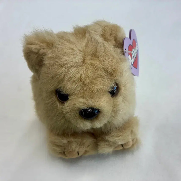 [BUNJANG] Puffkins Honey Peanut Butter Bear Plush / Puffkins Honey 곰인형