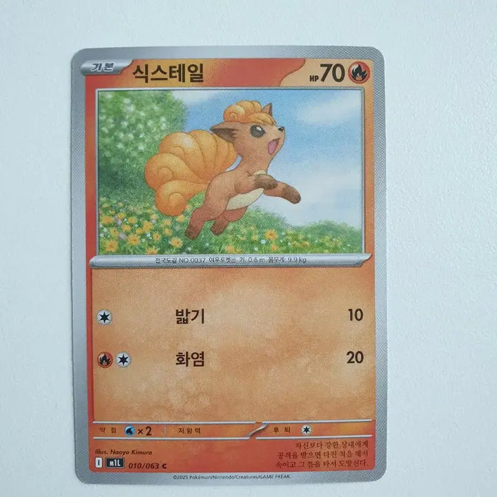 [BUNJANG] Vulpix Pokemon Card / 식스테일 포켓몬카드