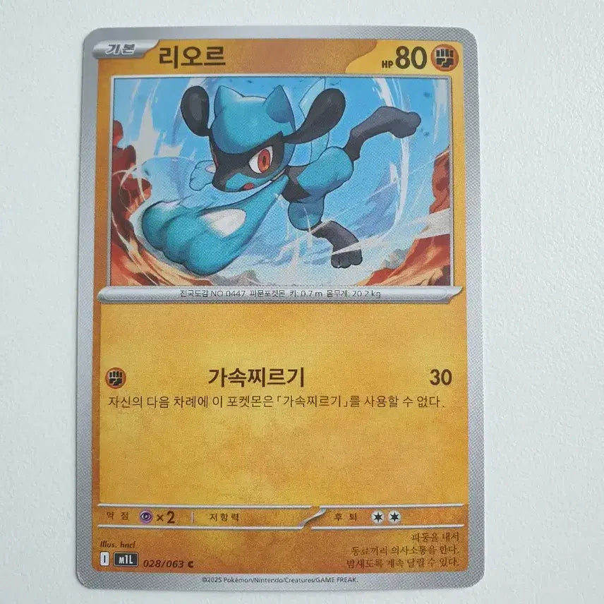 [BUNJANG] Lior Pokémon Card / 리오르 포켓몬카드