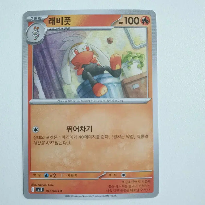 [BUNJANG] Pokemon Card Rabbit-Foot Normal Card / 래비풋 포켓몬카드