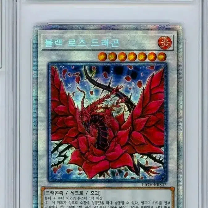 [BUNJANG] Psychic Black Rose Dragon - Bonus Pack Card (BRG 8) / 오프매장전용 프시크 블랙 로즈 드래곤 - 보너스팩 카드 ( BRG 8 )