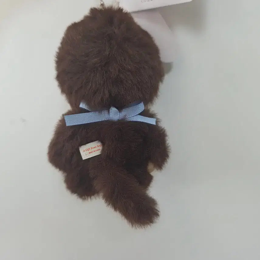 [BUNJANG] Bebe Chichi Boy Keychain / 베베치치 남아 키링