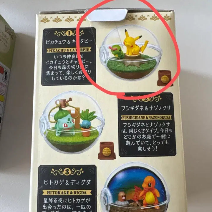 [BUNJANG] Pokemon Re-Ment Bundle Set / 포켓몬 리멘트(Re-Ment) 일괄