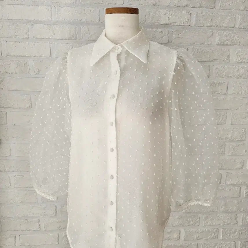 [BUNJANG] ZARA Dot Mesh Blouse / 자라 도트망사 블라우스