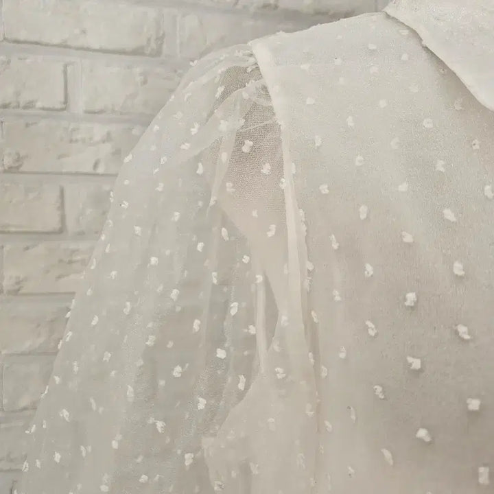 [BUNJANG] ZARA Dot Mesh Blouse / 자라 도트망사 블라우스