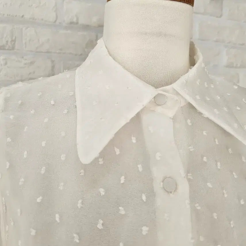 [BUNJANG] ZARA Dot Mesh Blouse / 자라 도트망사 블라우스