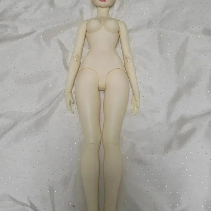[BUNJANG] Sadol Haerang MSD Ball-Jointed Doll Full Set / 사돌 해랑 MSD 구체관절인형 구관 풀셋