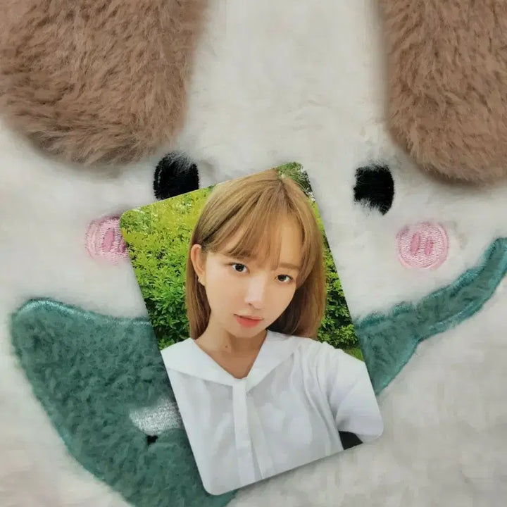 [BUNJANG] IVE AFTER LIKE Rei Photocard / 아이브 AFTER LIKE 레이 포카