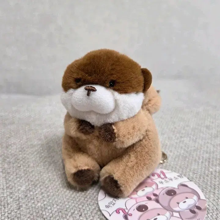 [BUNJANG] Woosoo Woosoo Jang Otter Keychain / 속았지 우소우소짱 키링 새상품