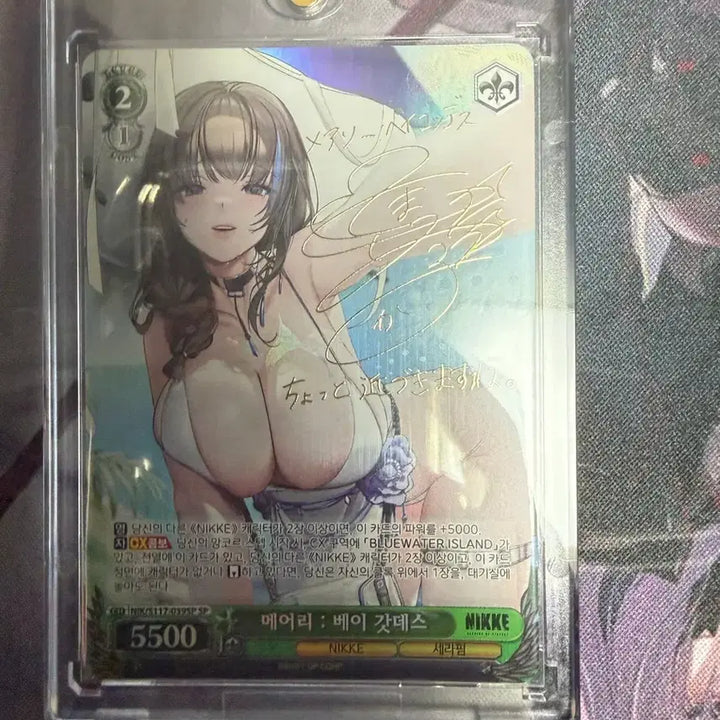 [BUNJANG] Nike Weiss Schwarz Korean Edition Mary SP / 니케 바이스슈발츠 한글판 메어리 SP