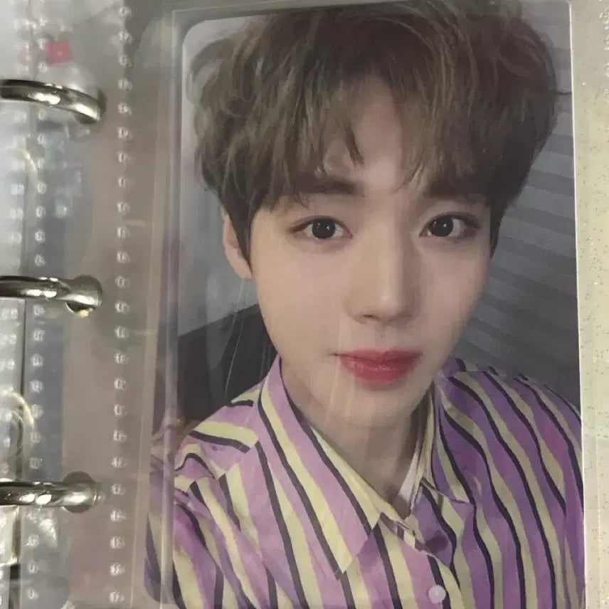 [BUNJANG] Park Ji Hoon Goods Bundle Set / 박지훈 굿즈 팝니당