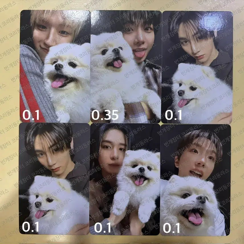 [BUNJANG] BOYNEXTDOOR Photocard / 보이넥스트도어 포토카드 판매합니다