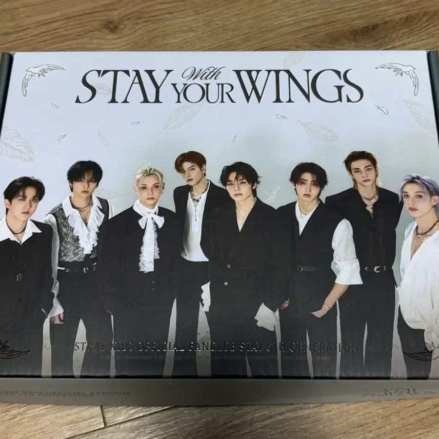 [BUNJANG] Stray Kids 6th Generation Fan Kit (Unsealed) / Straykids skz 스트레이키즈 스키즈 6기 키트 양도