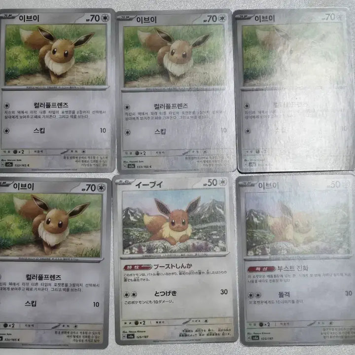 [BUNJANG] Eeveelutions Set Pokemon Cards / 포켓몬 카드 - 이브이즈 모음