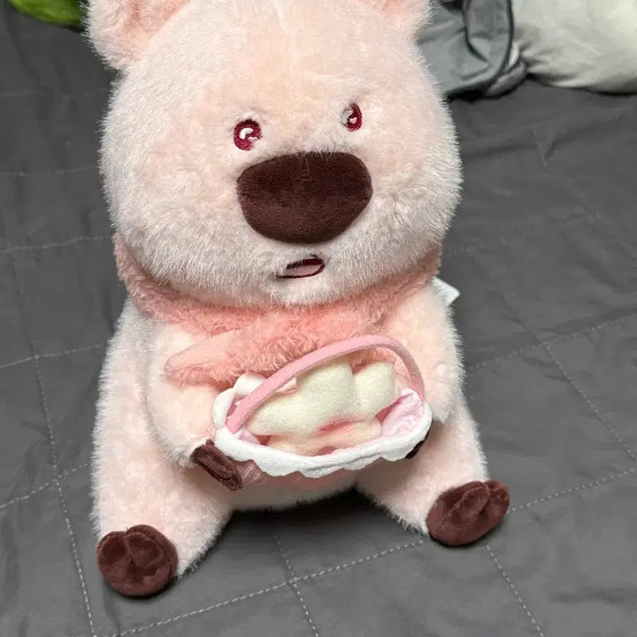 [BUNJANG] Quokka Plush Doll / 코커짱 코커 인형 쿼카인형 (새상품, 택있음)